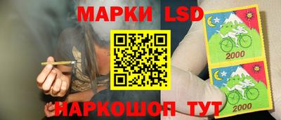 Альфа ПВП Донецк
