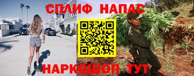 Альфа ПВП Донецк