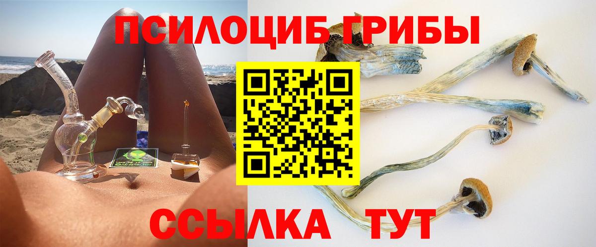 наркошоп  Вход с VPN  Курчатов  Псилоцибиновые грибы Psilocybine cubensis 